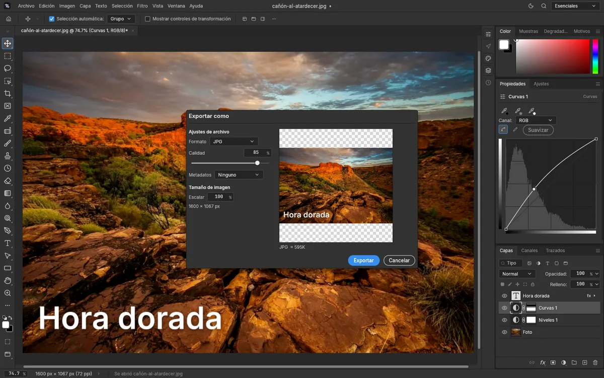 El diálogo Exportar como de PhotopixPro con las opciones de formato, calidad y tamaño y la vista previa de la imagen